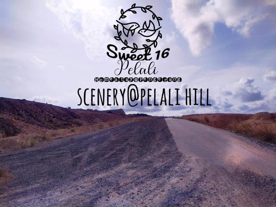 Sweet 16 Pelali Homestay Pengerang Exteriér fotografie