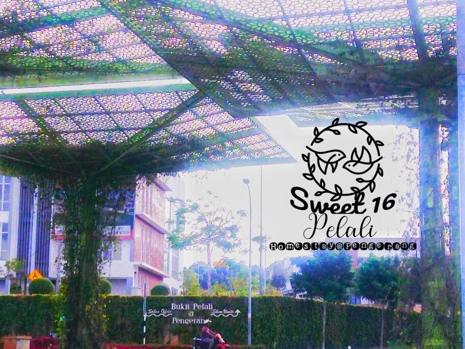 Sweet 16 Pelali Homestay Pengerang Exteriér fotografie