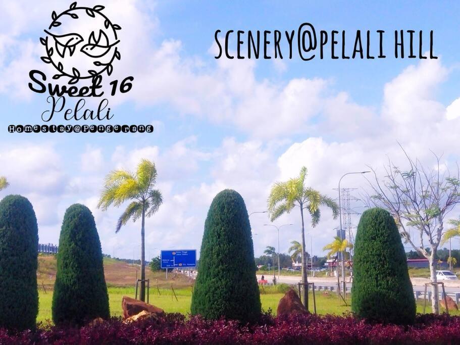 Sweet 16 Pelali Homestay Pengerang Exteriér fotografie